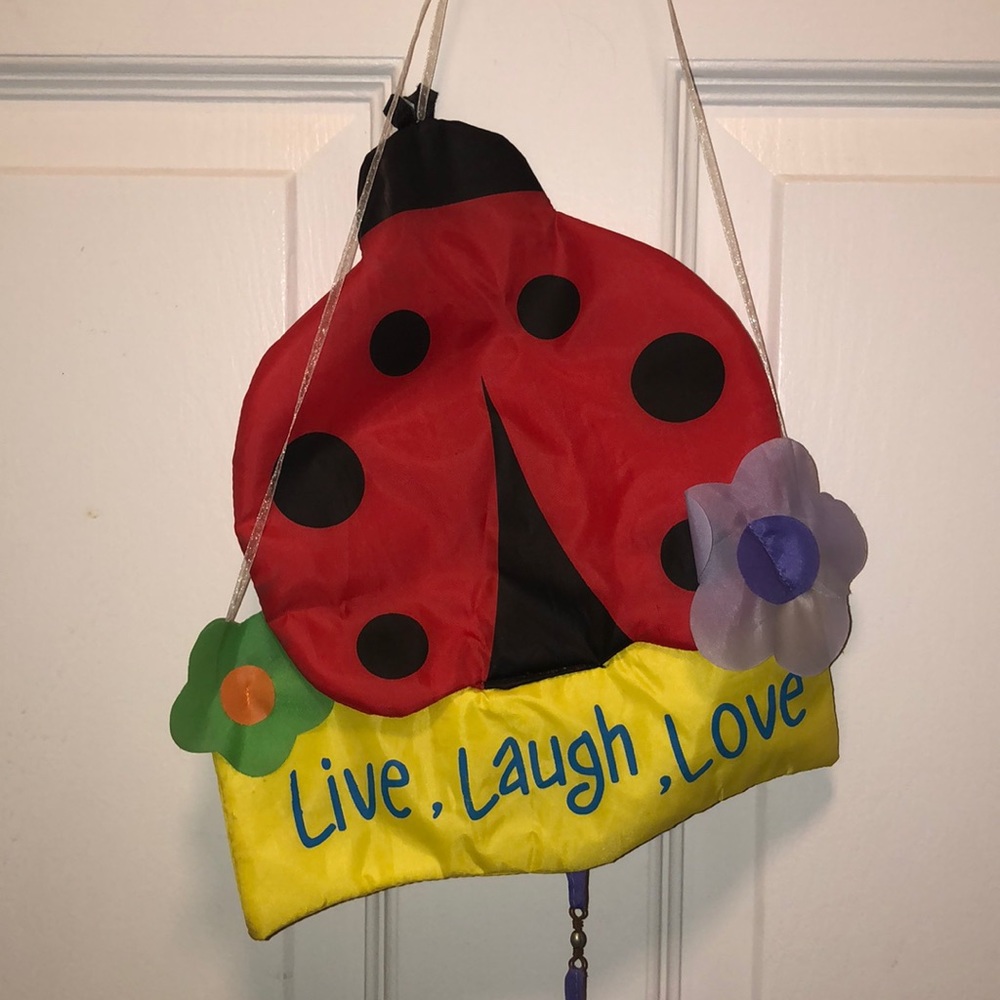 👙Ladybug Streamer - Picture 2 of 4